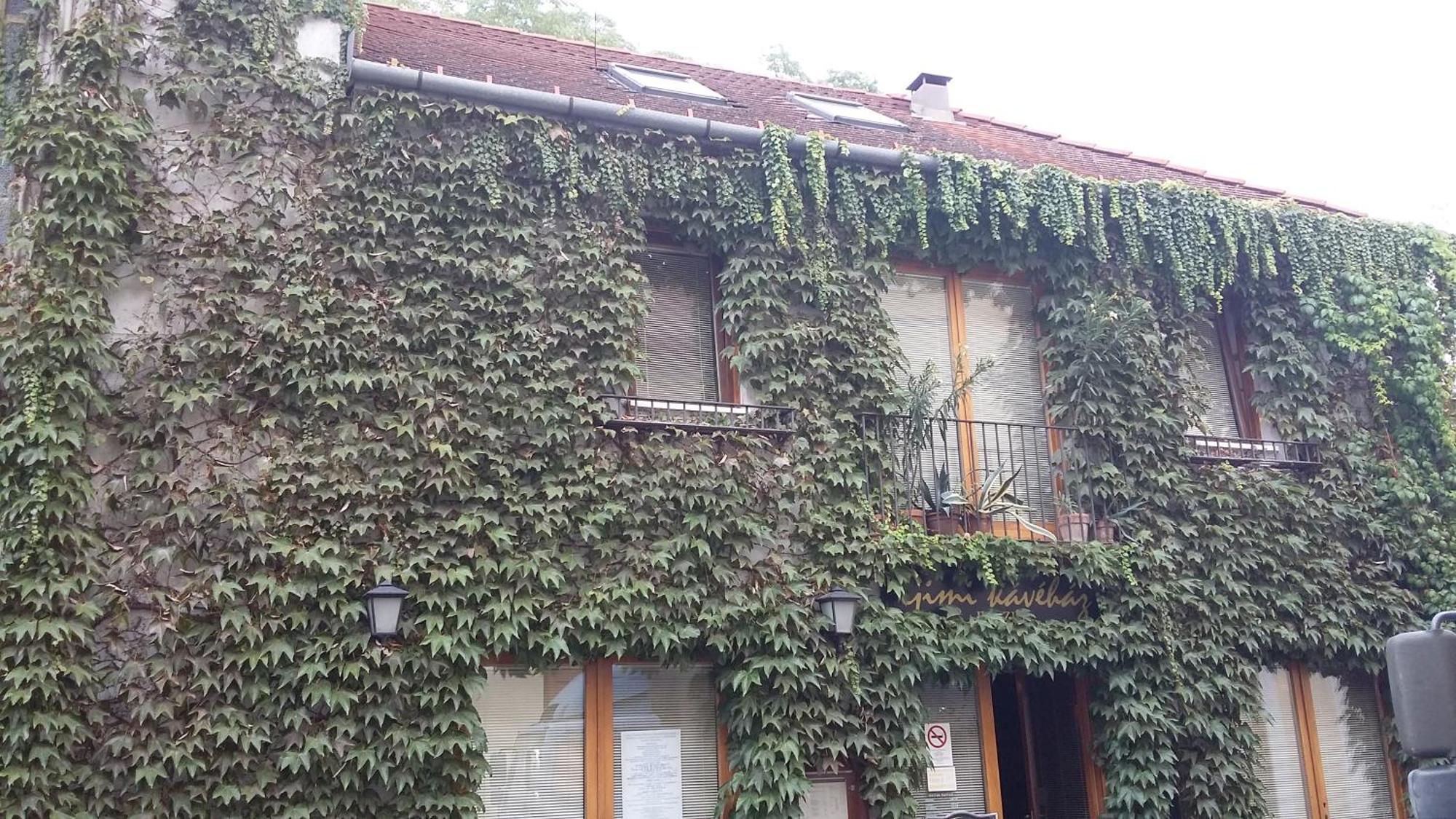 Gimi Vendégház Baja Esterno foto